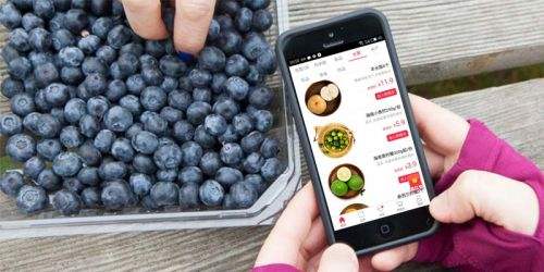 1574999128945834.jpg 1574999128945834.jpg